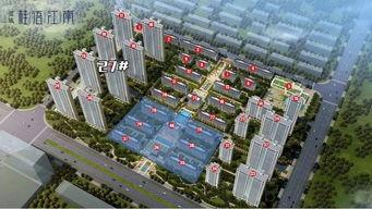 郑州蓝城最新事件爆料新闻,最新爆料揭示惊人真相