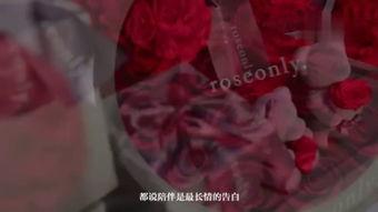 圣诞玫瑰在线观看,在线观看，探寻神秘圣诞节的浪漫传说